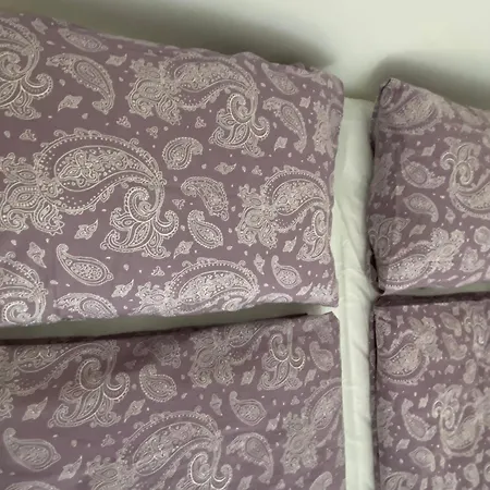 Guest house Pink Rose Boutiques *