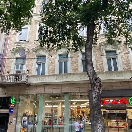 Konukevi Pink Rose Boutiques Budapeşte